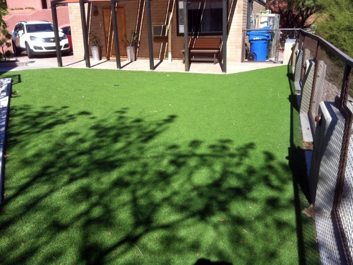 Artificial Turf Assaria, Kansas Backyard Deck Ideas, Backyard