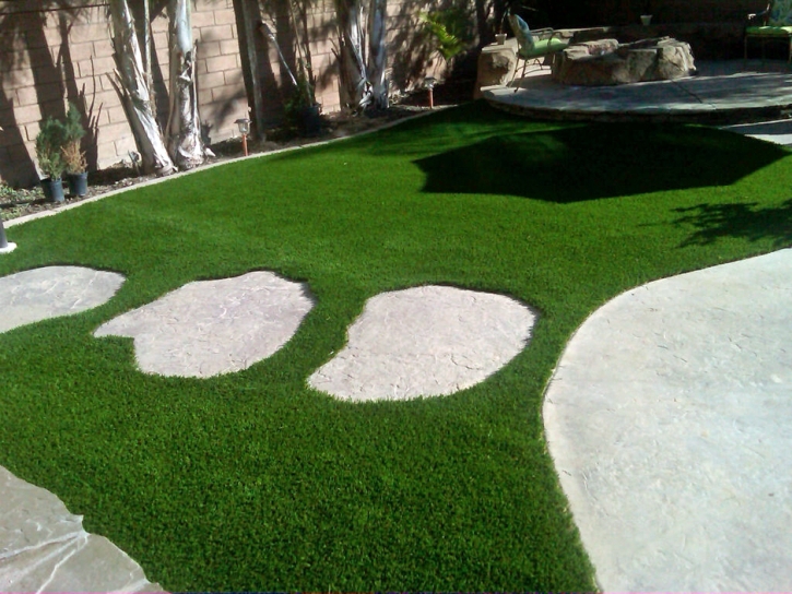 Artificial Turf Clearwater, Kansas Landscaping Business, Backyard Ideas