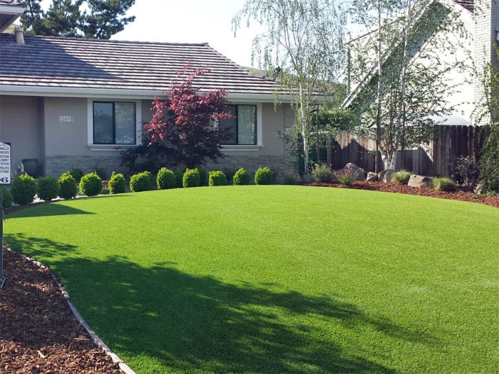 Artificial Turf Coats, Kansas Landscaping, Front Yard Landscape Ideas