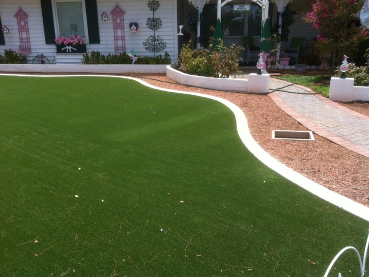 Artificial Turf Cost Anthony, Kansas Rooftop, Front Yard Ideas