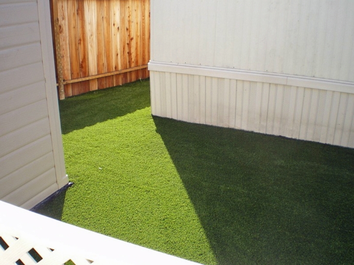 Artificial Turf Cost Belle Plaine, Kansas Lawns, Backyard Ideas