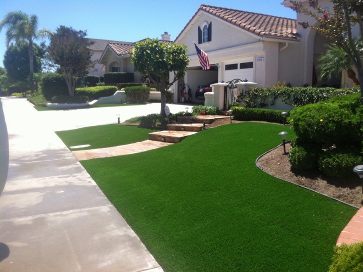 Artificial Turf Cost Chapman, Kansas Landscaping Business, Front Yard Landscaping