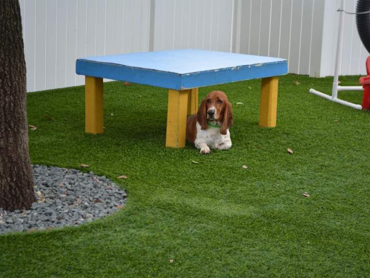 Artificial Turf Cost Chapman, Kansas Fake Grass For Dogs, Dogs