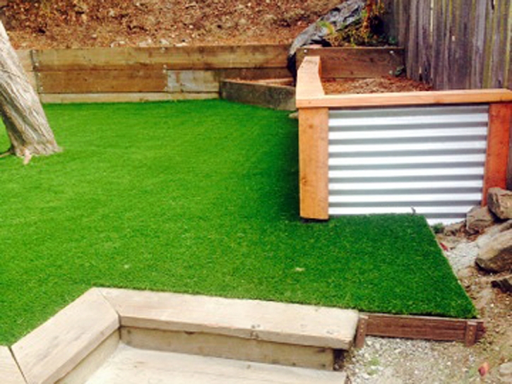 Artificial Turf Cost Clifton, Kansas Garden Ideas, Small Backyard Ideas