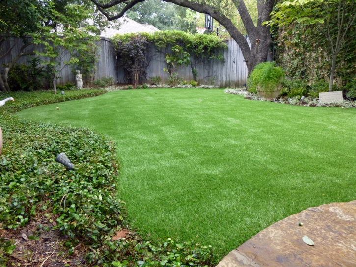 Artificial Turf Cost Dearing, Kansas Lawns, Small Backyard Ideas