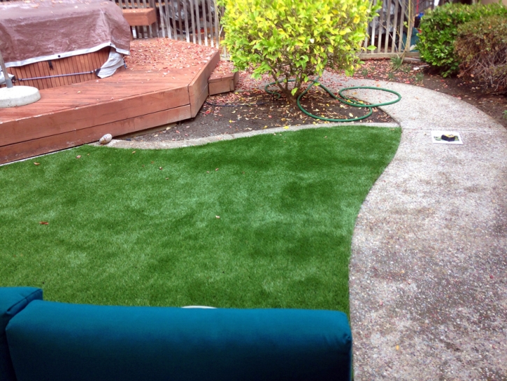 Artificial Turf Cost Eastborough, Kansas Landscape Rock, Backyard