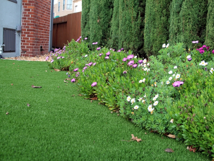 Artificial Turf Cost Florence, Kansas Roof Top, Front Yard Landscaping Ideas