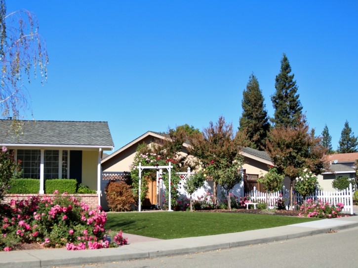 Artificial Turf Cost Marysville, Kansas Rooftop, Landscaping Ideas For Front Yard