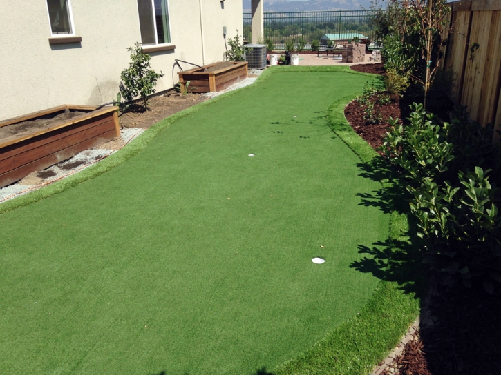 Artificial Turf Cost Miltonvale, Kansas Putting Green, Backyard Landscaping