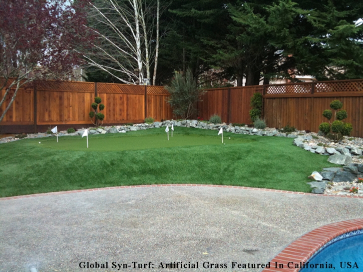 Artificial Turf Cost Rose Hill, Kansas Landscaping Business, Backyard Landscaping