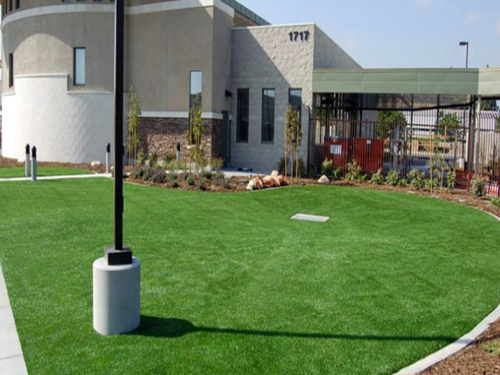 Artificial Turf Cost Scammon, Kansas Home And Garden, Commercial Landscape