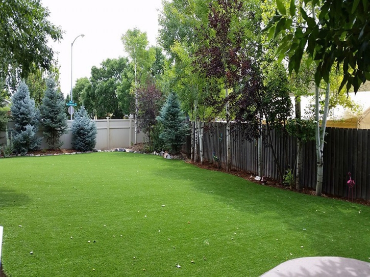 Artificial Turf Cost Willowbrook, Kansas Roof Top, Backyard Designs