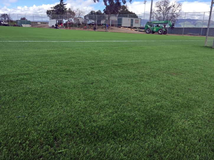 Artificial Turf Cottonwood Falls, Kansas Stadium