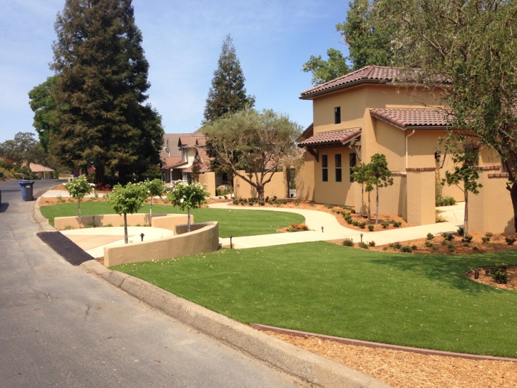 Artificial Turf Enterprise, Kansas Landscaping, Landscaping Ideas For Front Yard