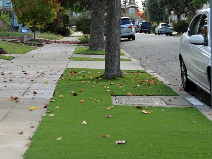 Artificial Turf Installation Benton, Kansas Home And Garden, Front Yard Landscape Ideas