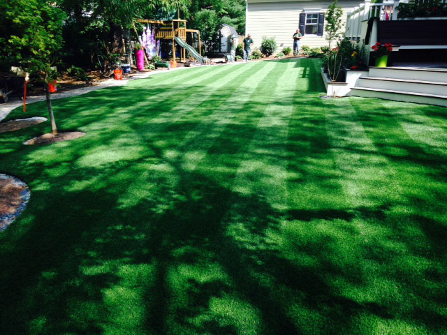 Artificial Turf Installation Burlington, Kansas Landscape Ideas, Backyard Landscape Ideas