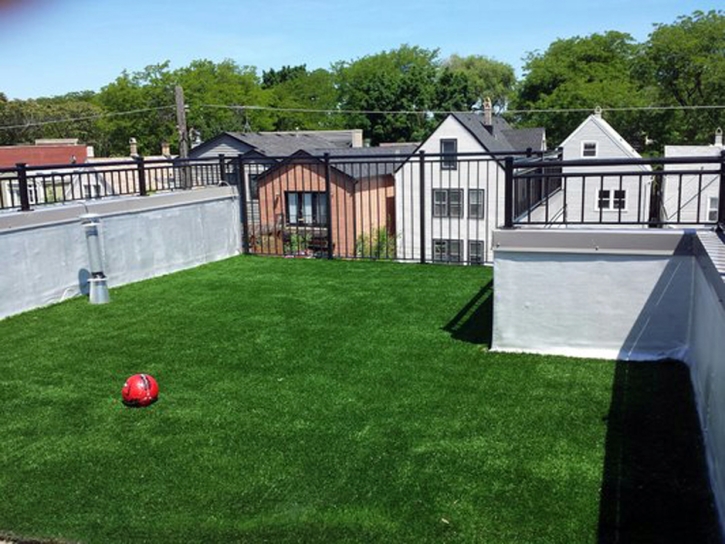 Artificial Turf Installation Gypsum, Kansas Dog Running, Deck