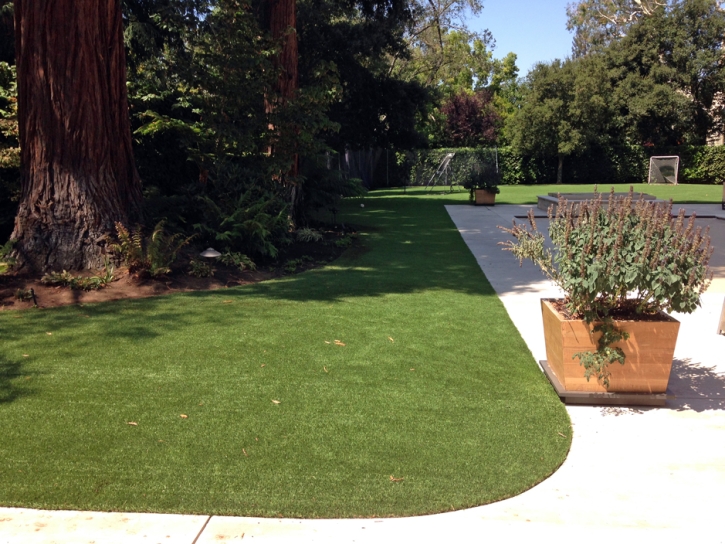 Artificial Turf Installation Neosho Rapids, Kansas Dog Run, Front Yard Landscape Ideas