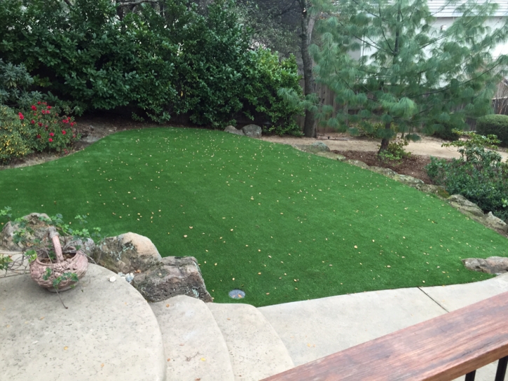 Artificial Turf Kipp, Kansas Lawns, Backyard Design