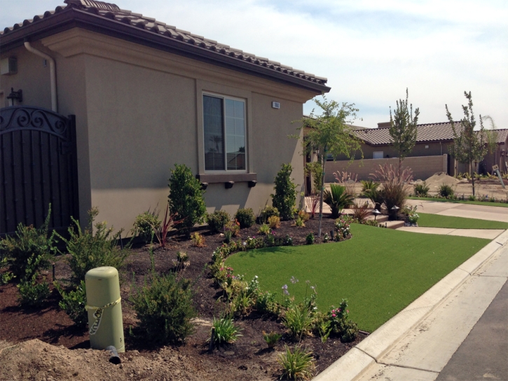 Artificial Turf Leonardville, Kansas Rooftop, Front Yard