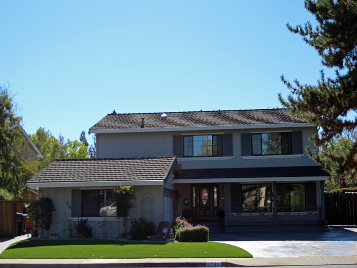 Artificial Turf Levant, Kansas City Landscape, Front Yard Landscaping