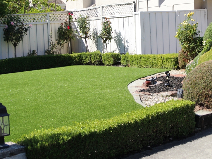 Artificial Turf Mulberry, Kansas Roof Top, Backyard Designs