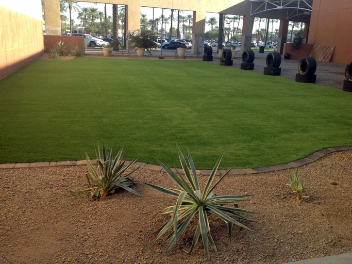 Artificial Turf Pleasanton, Kansas Landscaping, Commercial Landscape