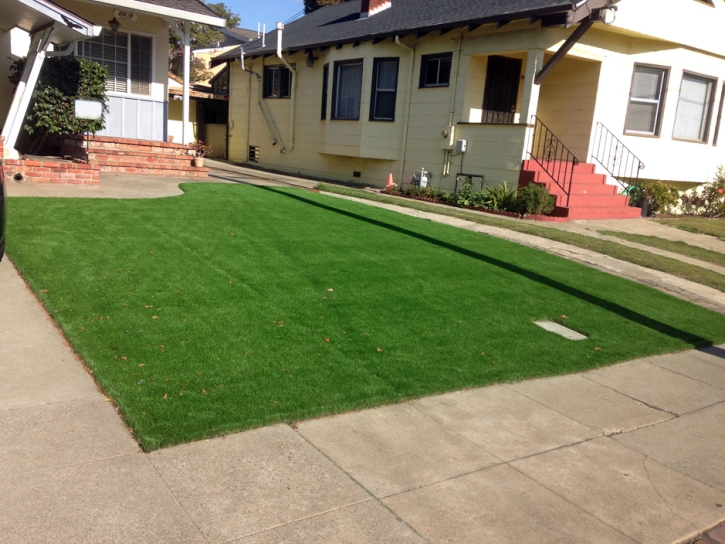 Artificial Turf Wallace, Kansas Lawn And Landscape, Front Yard Landscaping Ideas