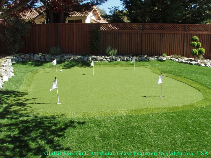 Best Artificial Grass Andover, Kansas Indoor Putting Greens, Backyard Ideas
