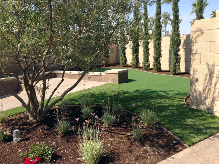 Best Artificial Grass Chase, Kansas Landscaping, Backyard Landscaping