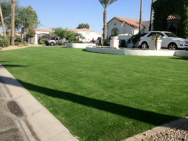 Best Artificial Grass Conway Springs, Kansas Design Ideas, Landscaping Ideas For Front Yard
