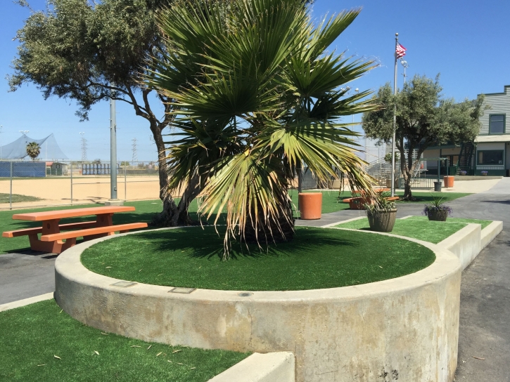 Best Artificial Grass Neodesha, Kansas, Commercial Landscape