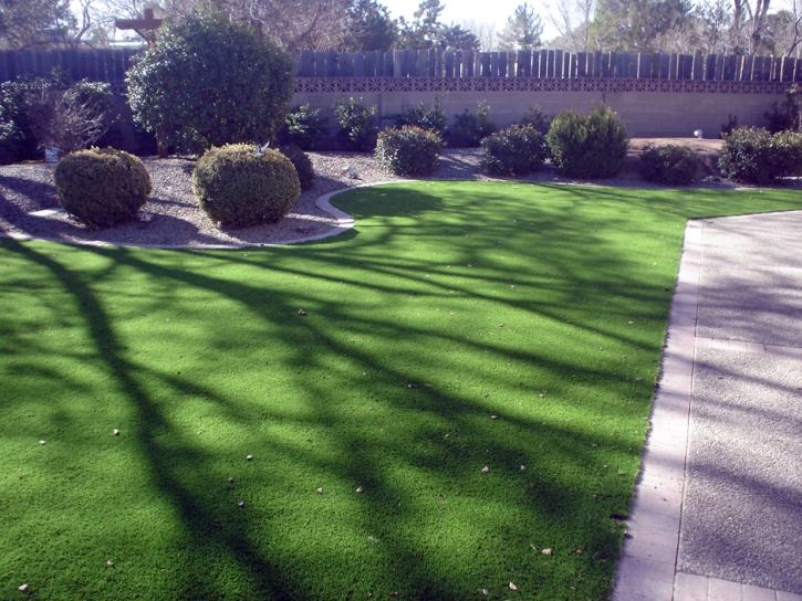 Best Artificial Grass Piqua, Kansas Landscaping Business, Front Yard Landscaping Ideas