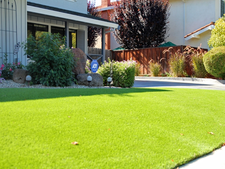 Best Artificial Grass Plainville, Kansas Landscape Rock, Front Yard Landscape Ideas