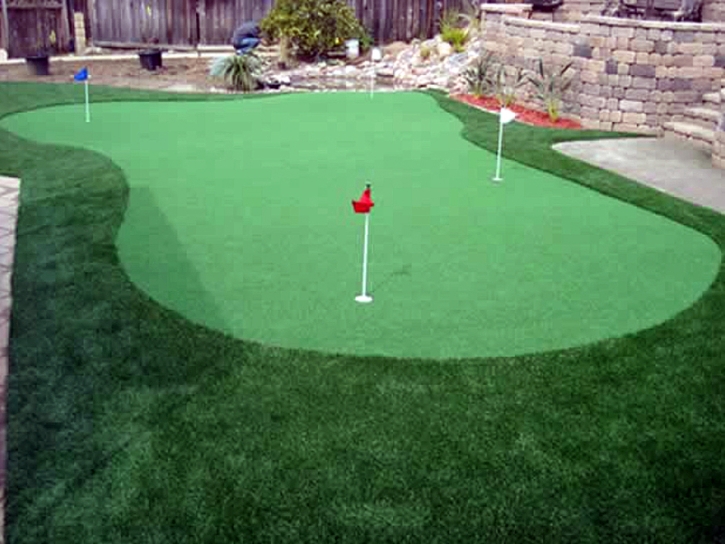 Best Artificial Grass Pretty Prairie, Kansas City Landscape, Backyard Design