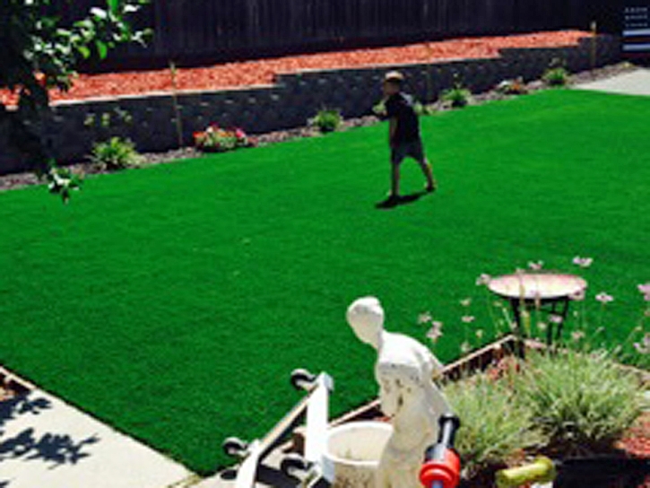 Best Artificial Grass Princeton, Kansas Backyard Deck Ideas, Backyard Landscaping