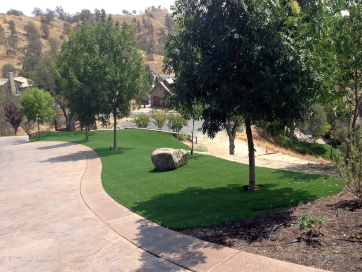 Best Artificial Grass Salina, Kansas Landscaping Business, Front Yard Landscaping Ideas