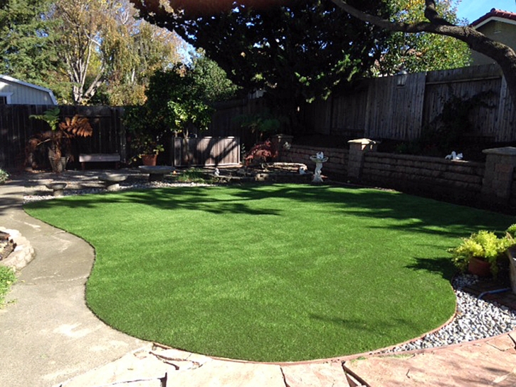 Best Artificial Grass Sharon, Kansas Design Ideas, Backyard Design