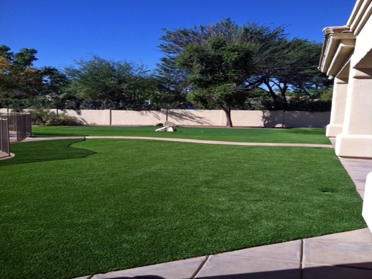 Best Artificial Grass Smolan, Kansas Rooftop, Small Front Yard Landscaping