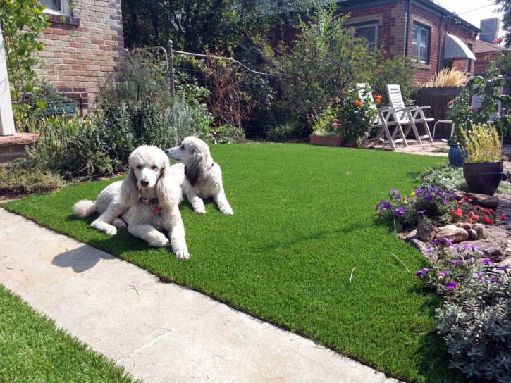 Best Artificial Grass Whiting, Kansas Design Ideas, Dog Kennels