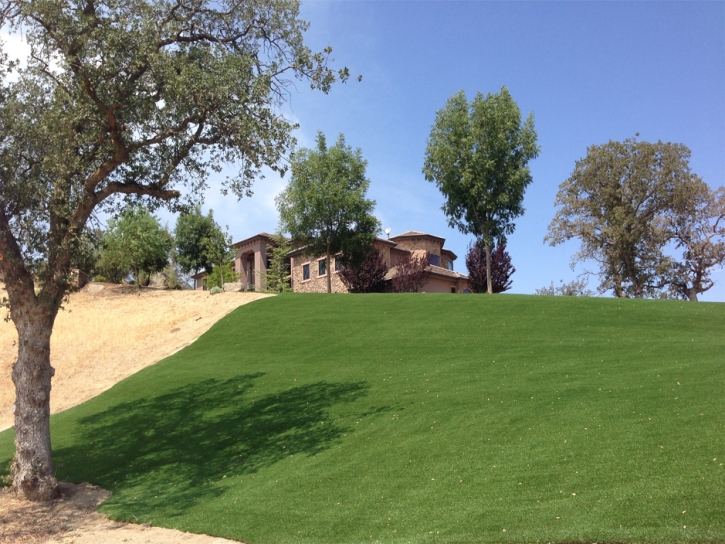 Fake Grass Americus, Kansas Landscape Rock, Landscaping Ideas For Front Yard