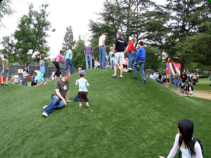 Fake Grass Carpet Ashland, Kansas Gardeners, Parks