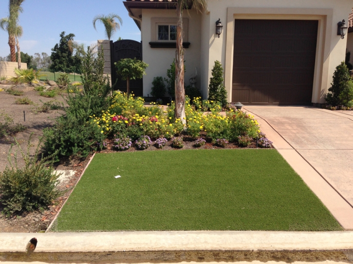 Fake Grass Carpet Carbondale, Kansas Landscape Design, Front Yard