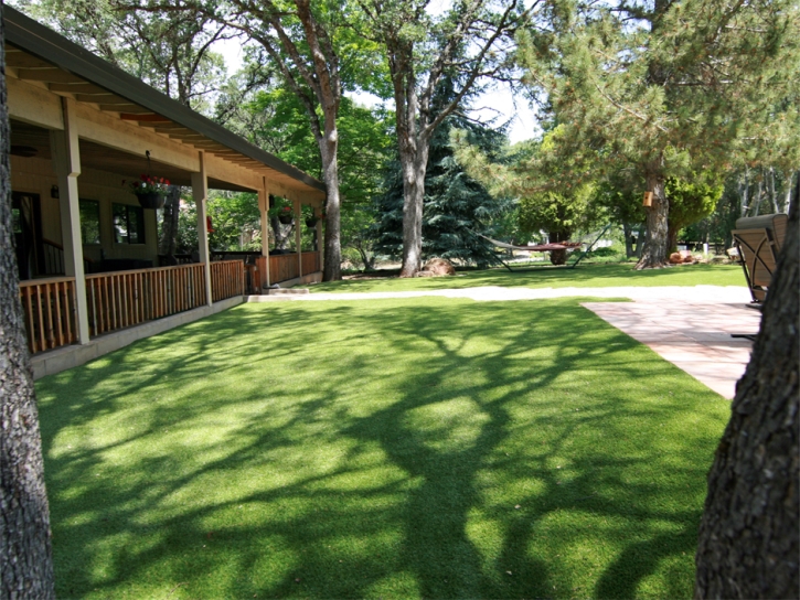 Fake Grass Carpet Gas, Kansas Dog Running, Backyard Designs