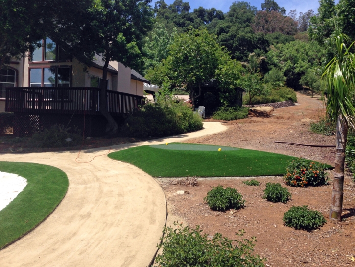 Fake Grass Carpet Haven, Kansas Office Putting Green, Front Yard Landscape Ideas