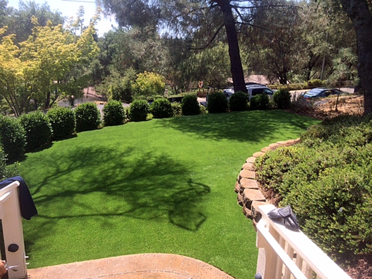 Fake Grass Carpet Mission Hills, Kansas Paver Patio, Backyard Landscaping