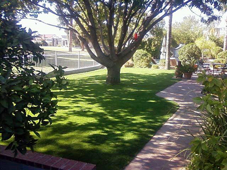 Fake Grass Carpet Stark, Kansas Landscaping Business