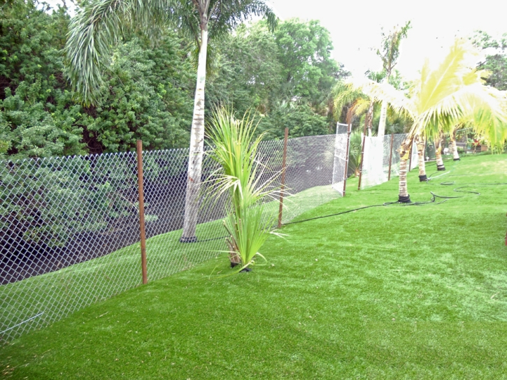 Fake Grass Harveyville, Kansas Landscaping Business, Backyard Landscaping Ideas