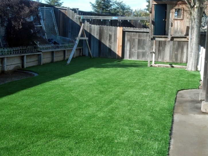 Fake Grass Meriden, Kansas Landscaping, Backyard Garden Ideas