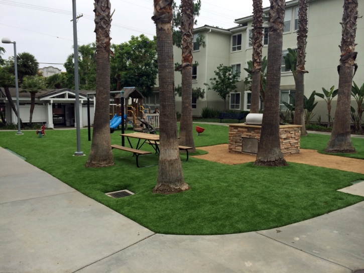 Fake Grass Nickerson, Kansas Landscaping Business, Commercial Landscape